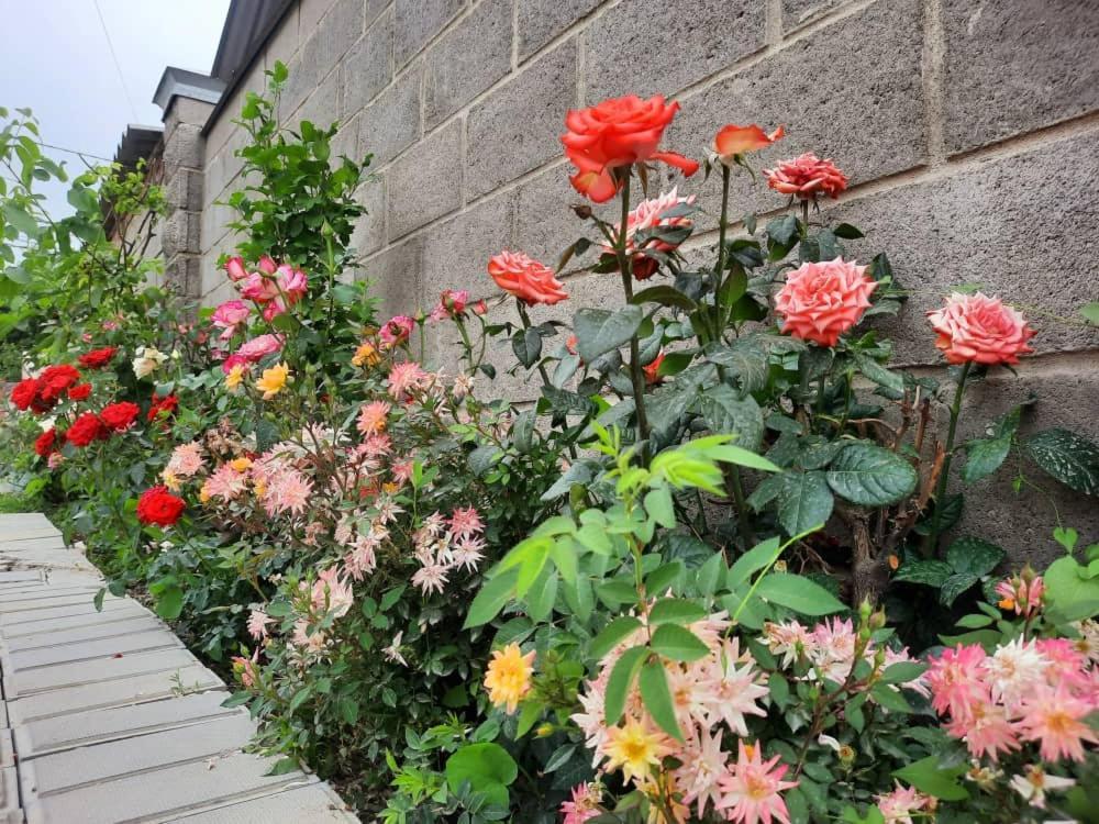 Homestay Jaisel Biszkek Zewnętrze zdjęcie