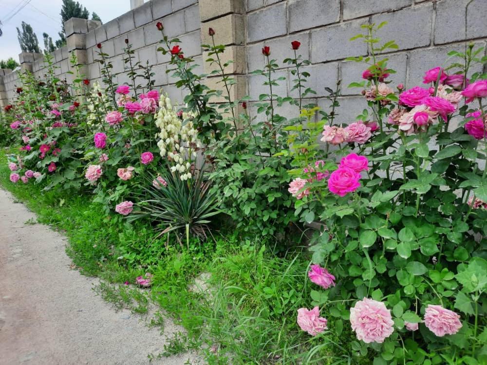 Homestay Jaisel Biszkek Zewnętrze zdjęcie